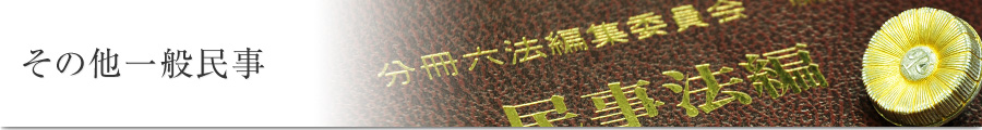 その他一般民事