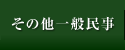 その他一般民事